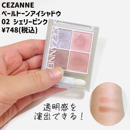 シルキースフレアイズ(マットタイプ)/キャンメイク/アイシャドウパレットを使ったクチコミ(4枚目)