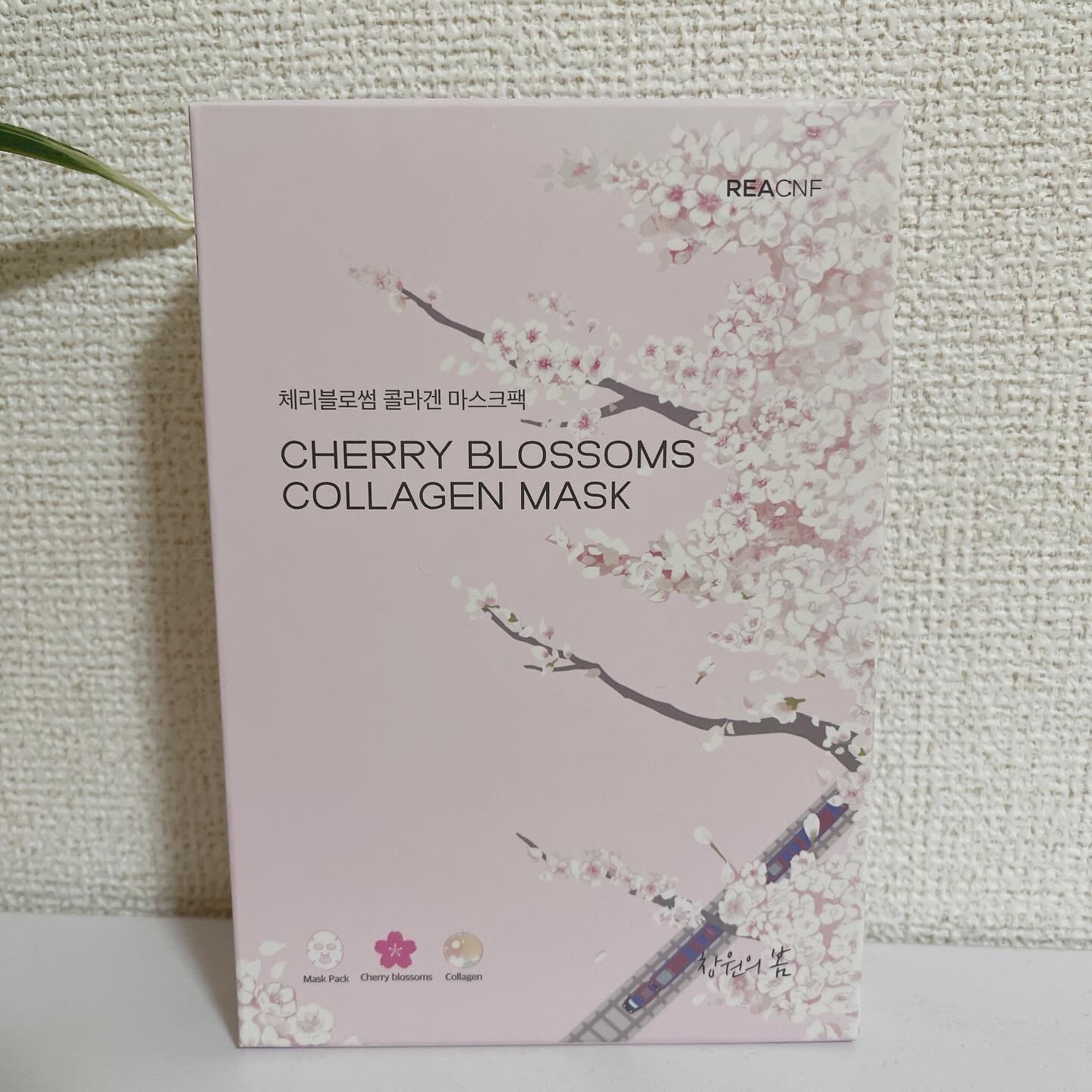 チェリーブロッサム コラーゲンマスク/REACNF/シートマスク・パックを使ったクチコミ（1枚目）