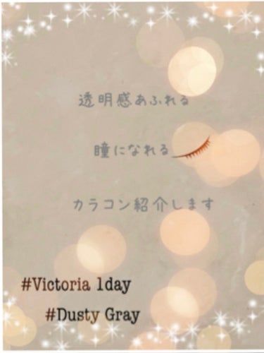 Victoria(ヴィクトリア）1day Dusty Gray/Victoria/ワンデー（１DAY）カラコンを使ったクチコミ（1枚目）