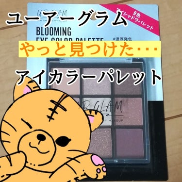 UR GLAM　BLOOMING EYE COLOR PALETTE/U R GLAM/パウダーアイシャドウを使ったクチコミ（1枚目）