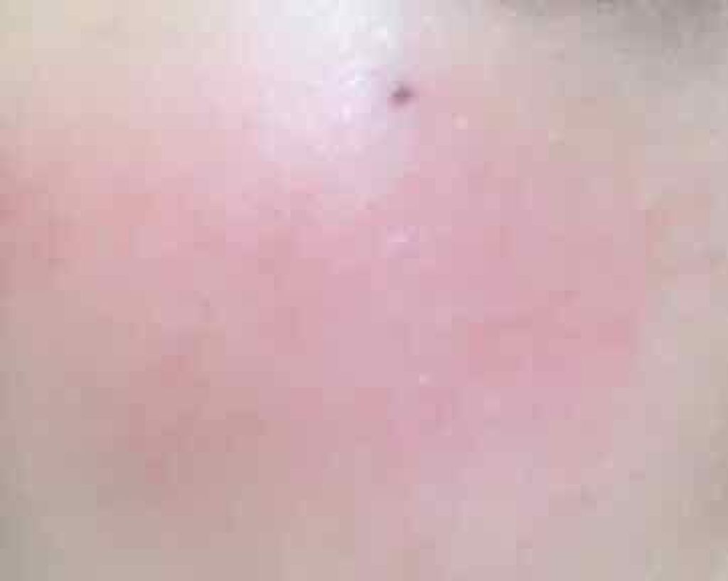 グロウフルールチークス/キャンメイク/パウダーチークを使ったクチコミ(3枚目)