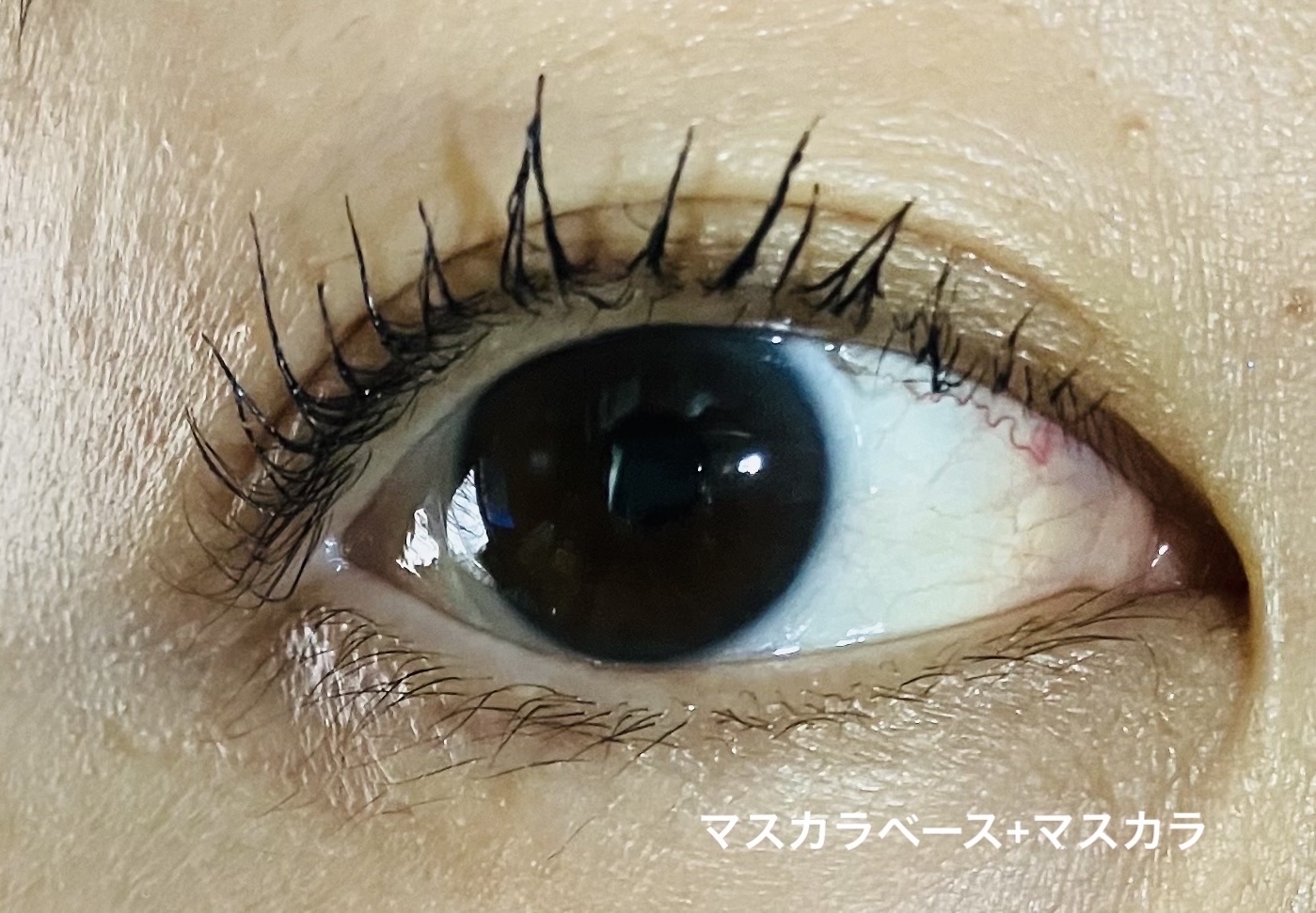 エテュセ アイエディション (マスカラベース)/ettusais/マスカラ下地を使ったクチコミ（3枚目）