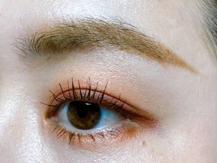 スキニーリッチシャドウ/excel/アイシャドウパレットを使ったクチコミ(3枚目)