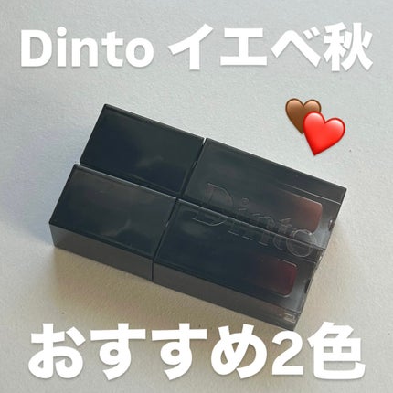 ブラーグロイリップティント/Dinto/リップティントを使ったクチコミ(1枚目)
