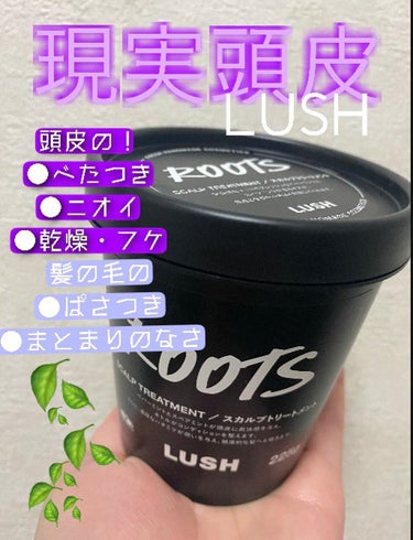 想像以上！値段以上！最高でした！
LUSH 現実頭皮　頭皮から毛先にかけて使えるトリートメントの紹介です！225g  ¥2300

感動したので読んでいただけたら嬉しいです！



💛こんな人にオススメ