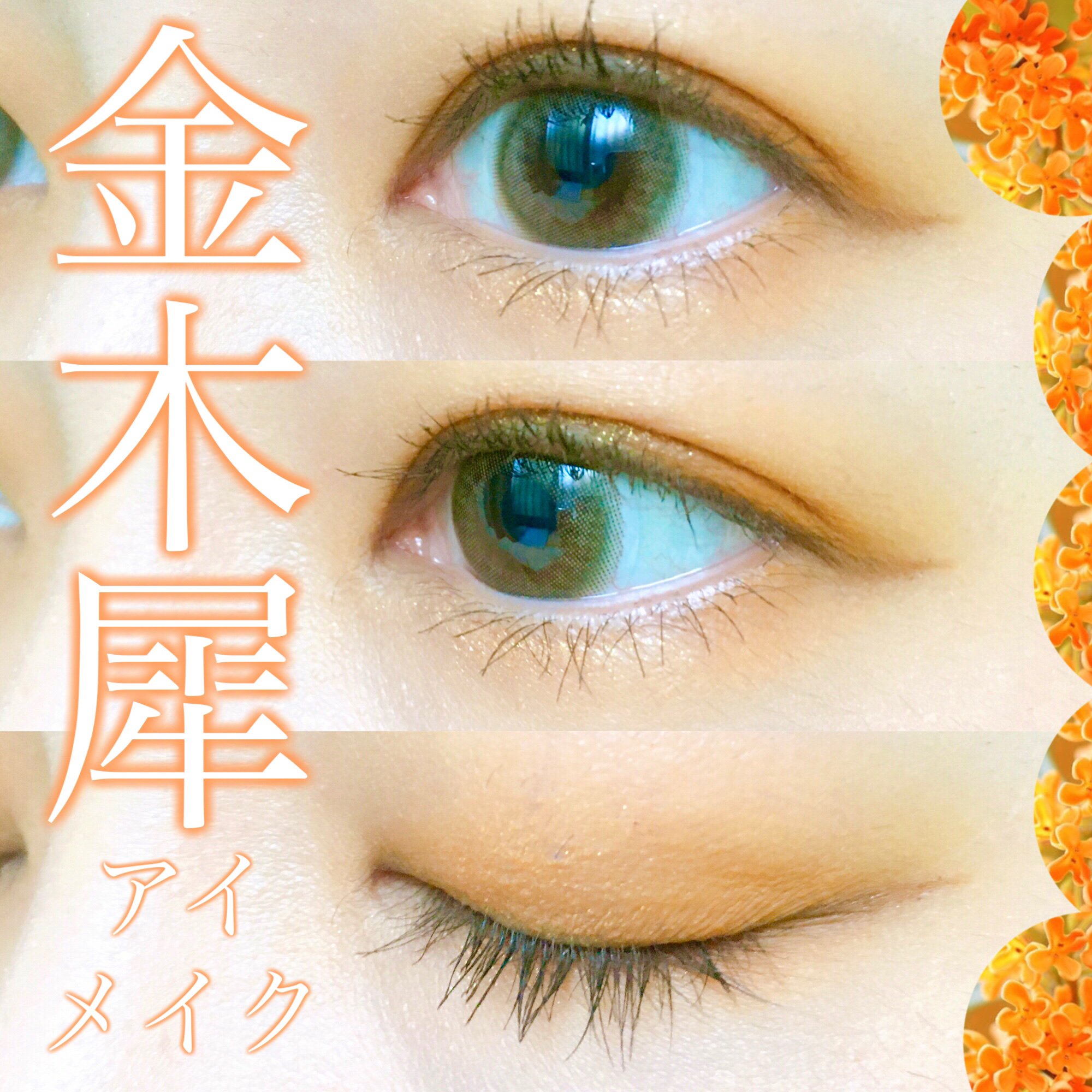 アニマルアイシャドウ(4シェード)/ZEESEA/アイシャドウパレットを使ったクチコミ（1枚目）