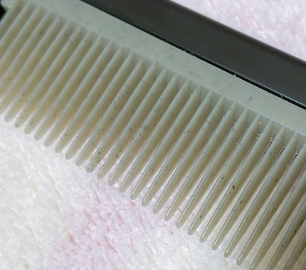 天然毛100パーセントイノシシの毛クシ/キヌガワカンパニー/ヘアブラシを使ったクチコミ(5枚目)