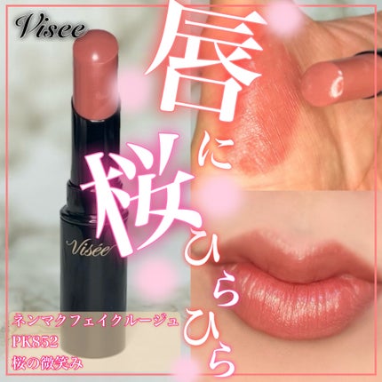 ネンマクフェイク ルージュ/Visée/口紅を使ったクチコミ(1枚目)