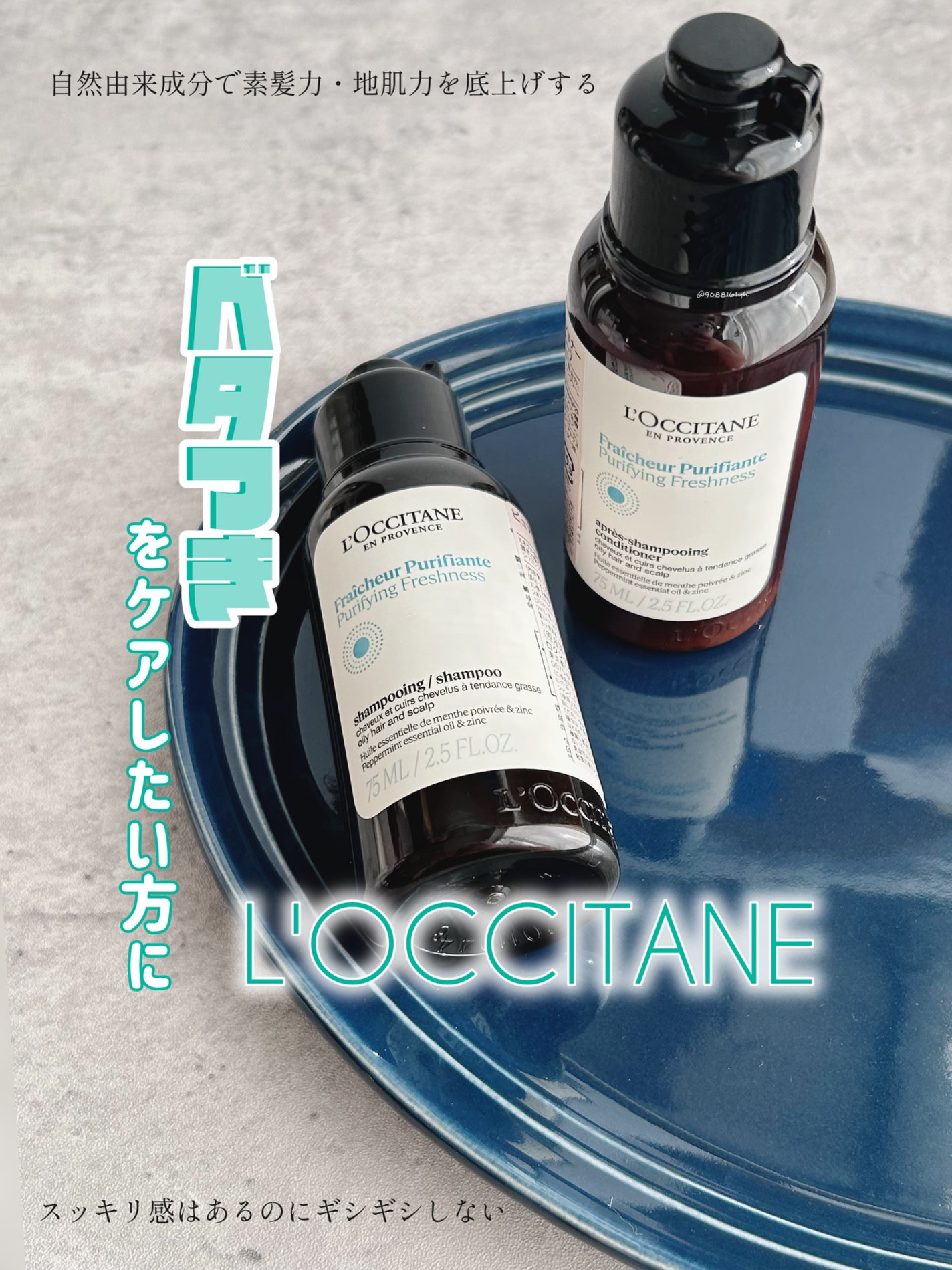 ピュアフレッシュ シャンプー/ コンディショナー/L'OCCITANE/市販シャンプーを使ったクチコミ(1枚目)