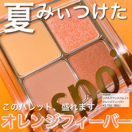 リアルアイハンディパレット/espoir/アイシャドウパレットを使ったクチコミ(1枚目)