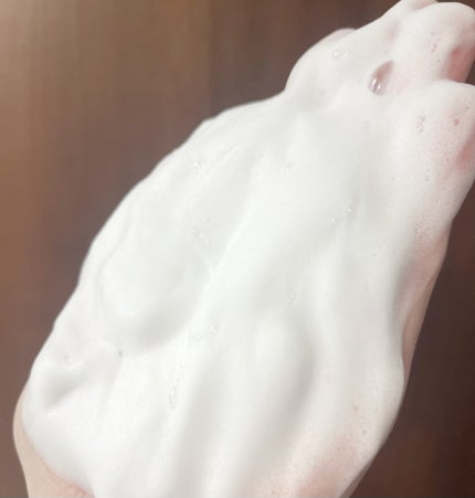 ホリーディア クリーミーリセットクレンジング/HOLIDEA/泡洗顔を使ったクチコミ(6枚目)