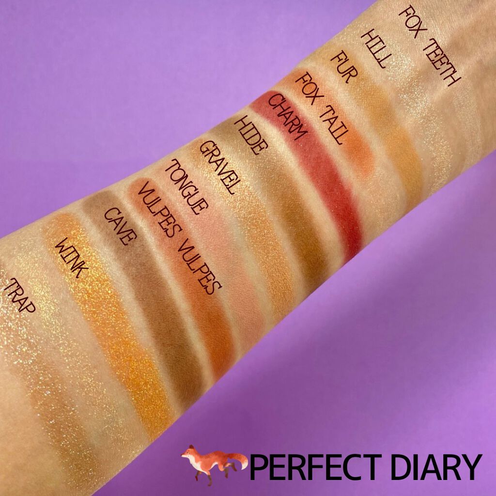 エクスプローラ12色 動物アイシャドウパレット/PERFECT DIARY/アイシャドウパレットを使ったクチコミ(4枚目)