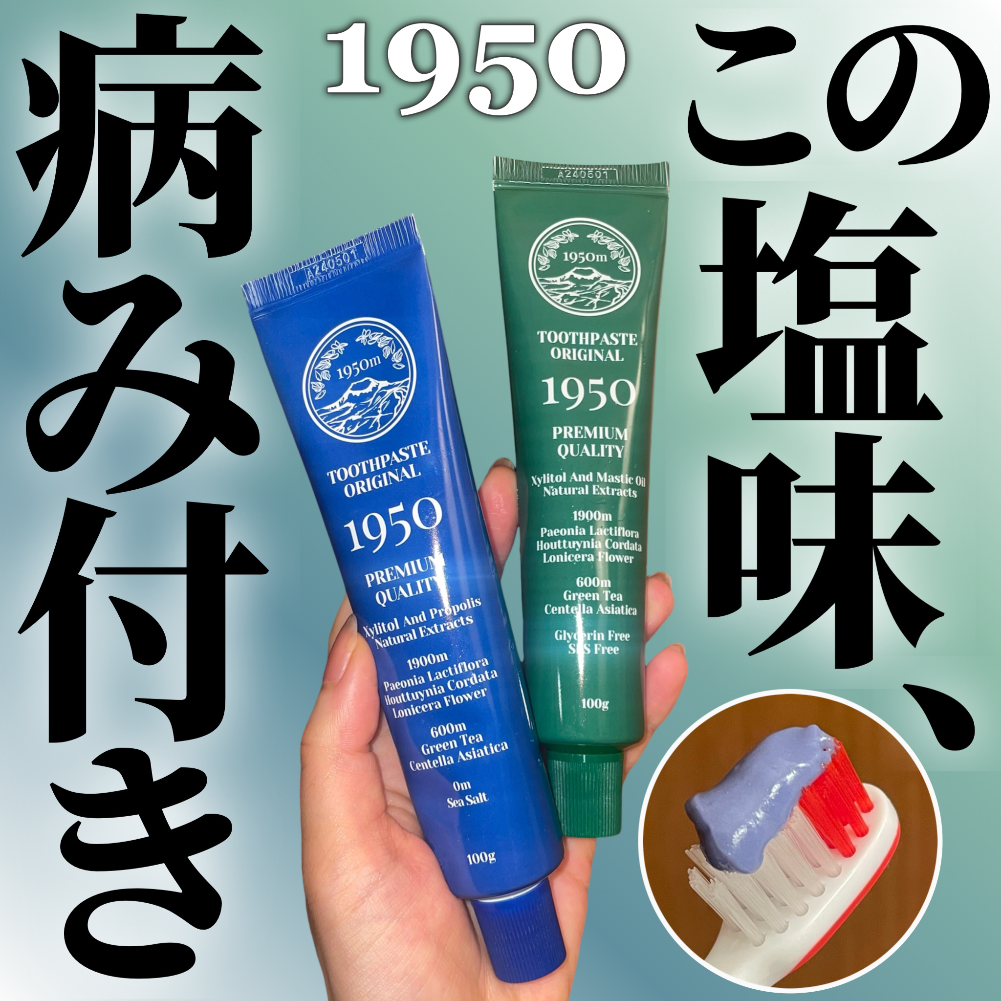 チェジュミネラルソルトブルーオーガニック歯磨き粉/1950/歯磨き粉を使ったクチコミ（1枚目）