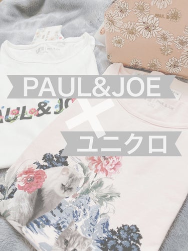 ユニクロ PAUL & JOE/ユニクロ/その他を使ったクチコミ（1枚目）