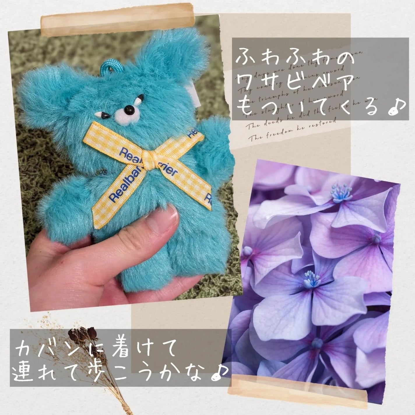 リアルバリア エクストリームクリーム オリジナル/Real Barrier/フェイスクリームを使ったクチコミ(6枚目)