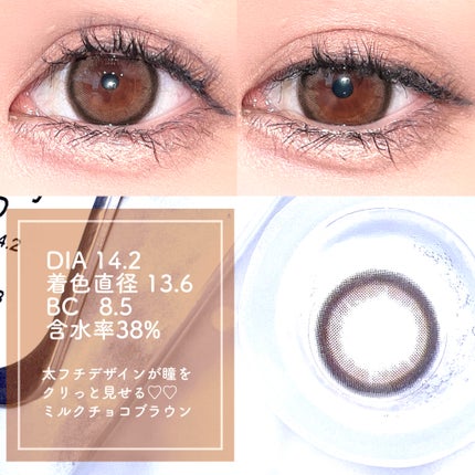 MOLAK 1month ブラウンバニー/MOLAK/1ヶ月(1MONTH)カラコンを使ったクチコミ(2枚目)