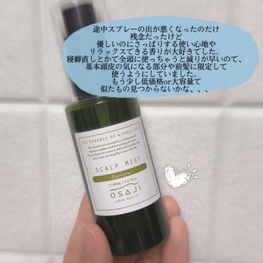 スポンジクリーナーＮ 198　（Ｌ）/SHISEIDO/その他化粧小物を使ったクチコミ（3枚目）