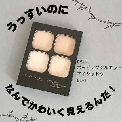 ケイト ポッピングシルエットシャドウ/KATE/アイシャドウパレットを使ったクチコミ(1枚目)