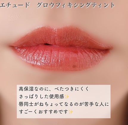 グロウ フィクシングティント/ETUDE/リップティントを使ったクチコミ(3枚目)