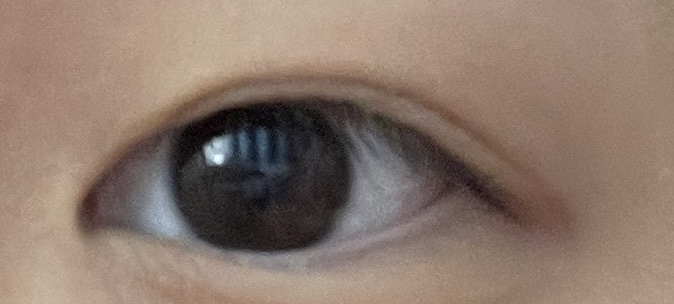 Angelcolor Bambi Series 1day  ローズベージュ(WEB限定カラー)/AngelColor/ワンデー（１DAY）カラコンを使ったクチコミ（2枚目）