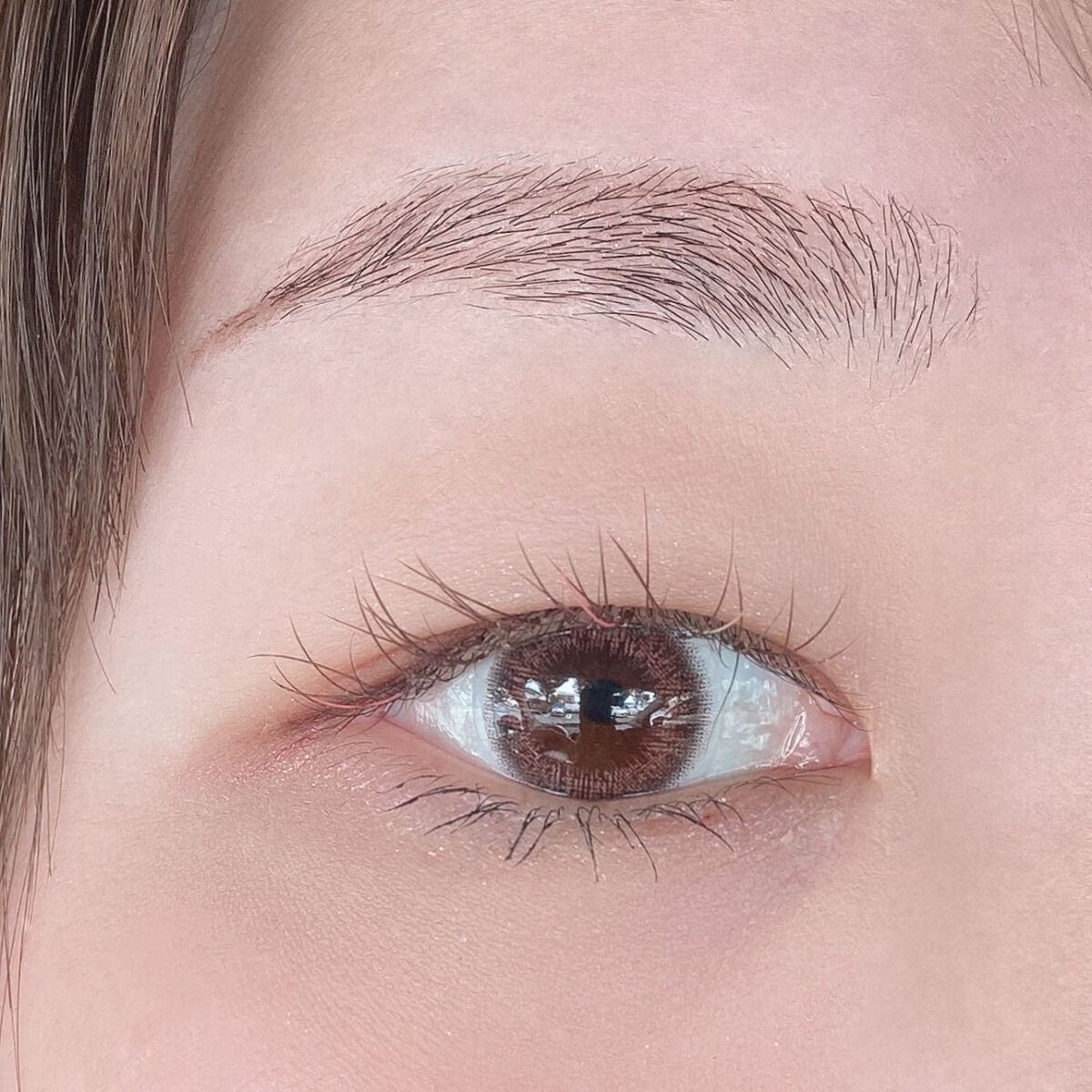 わんだふるアイカラー/KIREI FACTORY/アイシャドウパレットを使ったクチコミ(6枚目)