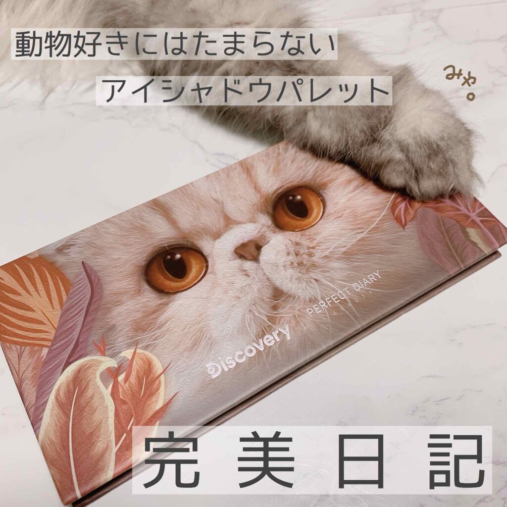 エクスプローラ12色 動物アイシャドウパレット/PERFECT DIARY/アイシャドウパレットを使ったクチコミ（1枚目）