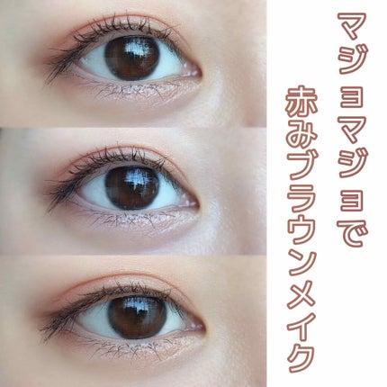 ナイストゥミーチュートランク/MAJOLICA MAJORCA/アイシャドウパレットを使ったクチコミ(1枚目)