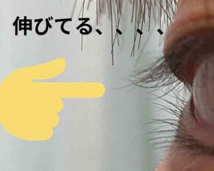 EMAKED(エマーキット)/水橋保寿堂製薬/まつげ美容液を使ったクチコミ(1枚目)