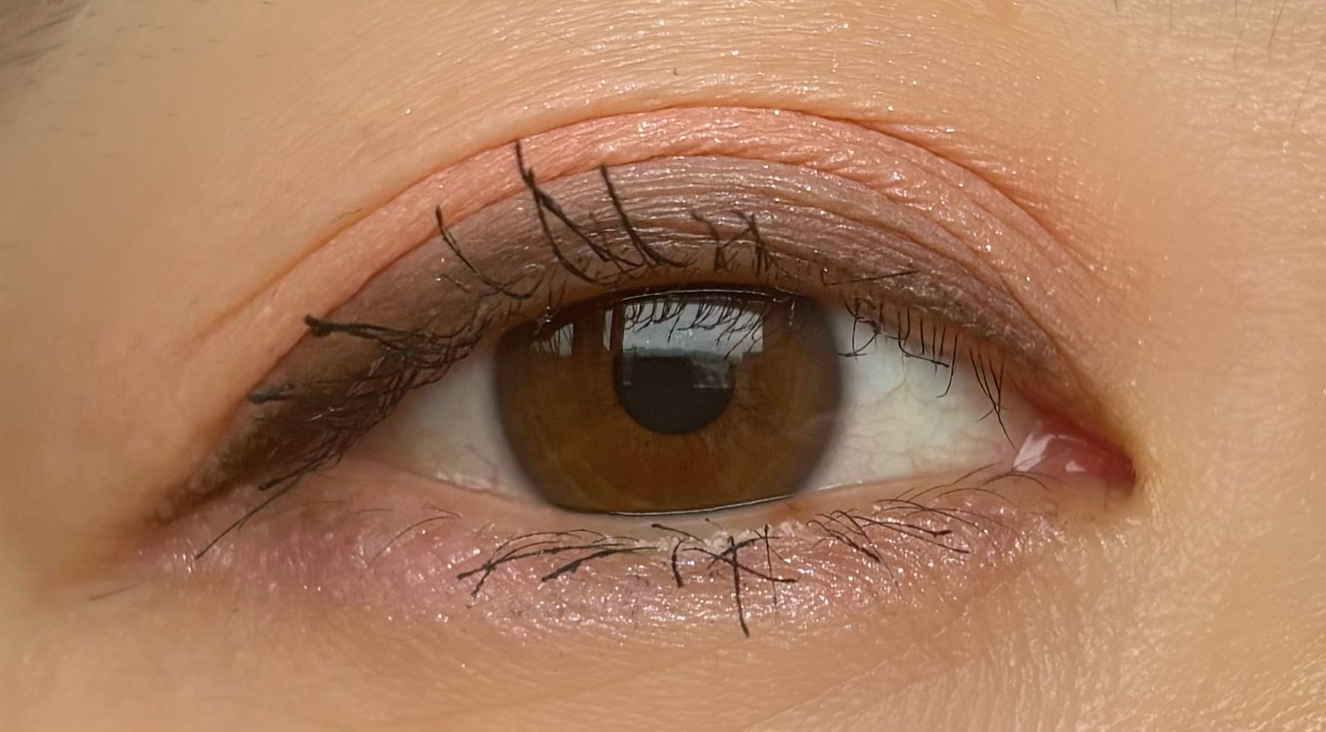 エスト ノーブル ブライト アイシャドウ/est/パウダーアイシャドウを使ったクチコミ（3枚目）