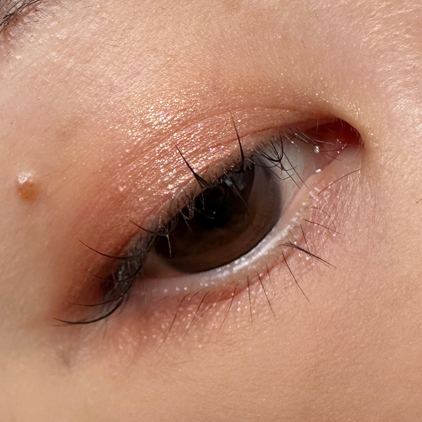 【旧】ディオールショウ サンク クルール(プラン ドゥ パリ コレクション限定品)/Dior/アイシャドウを使ったクチコミ(3枚目)