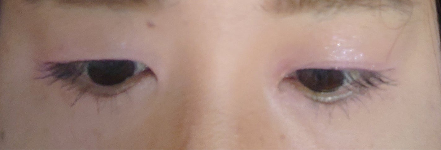 シャドウパレット/dasique/アイシャドウパレットを使ったクチコミ(3枚目)