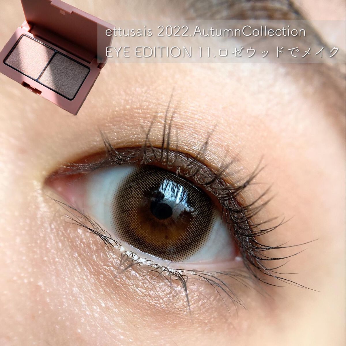 エテュセ アイエディション(カラーパレット)/ettusais/アイシャドウパレットを使ったクチコミ（1枚目）