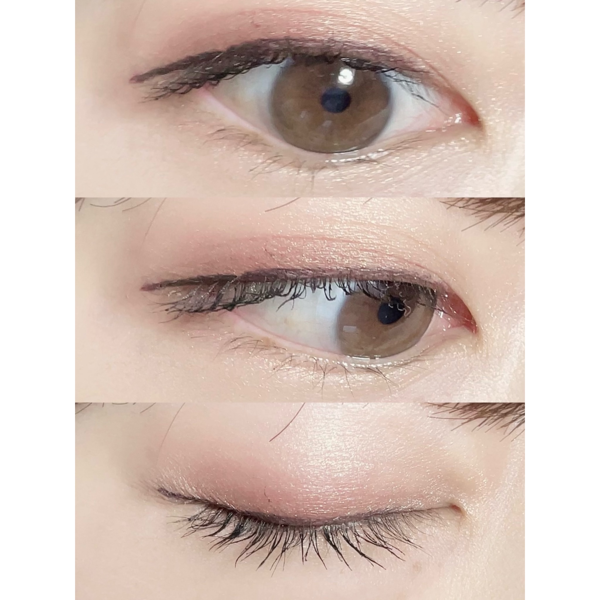 シャドーカスタマイズ/MAJOLICA MAJORCA/単色アイシャドウを使ったクチコミ（2枚目）