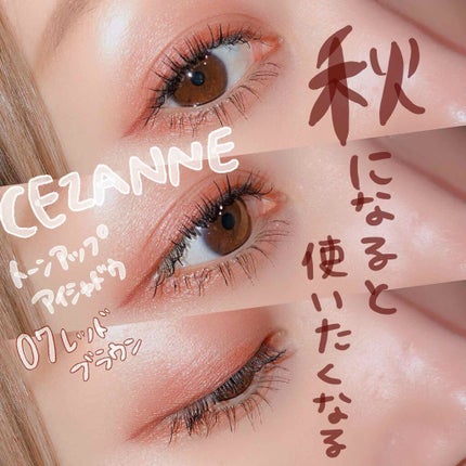 シングルカラーアイシャドウ/CEZANNE/単色アイシャドウを使ったクチコミ(1枚目)