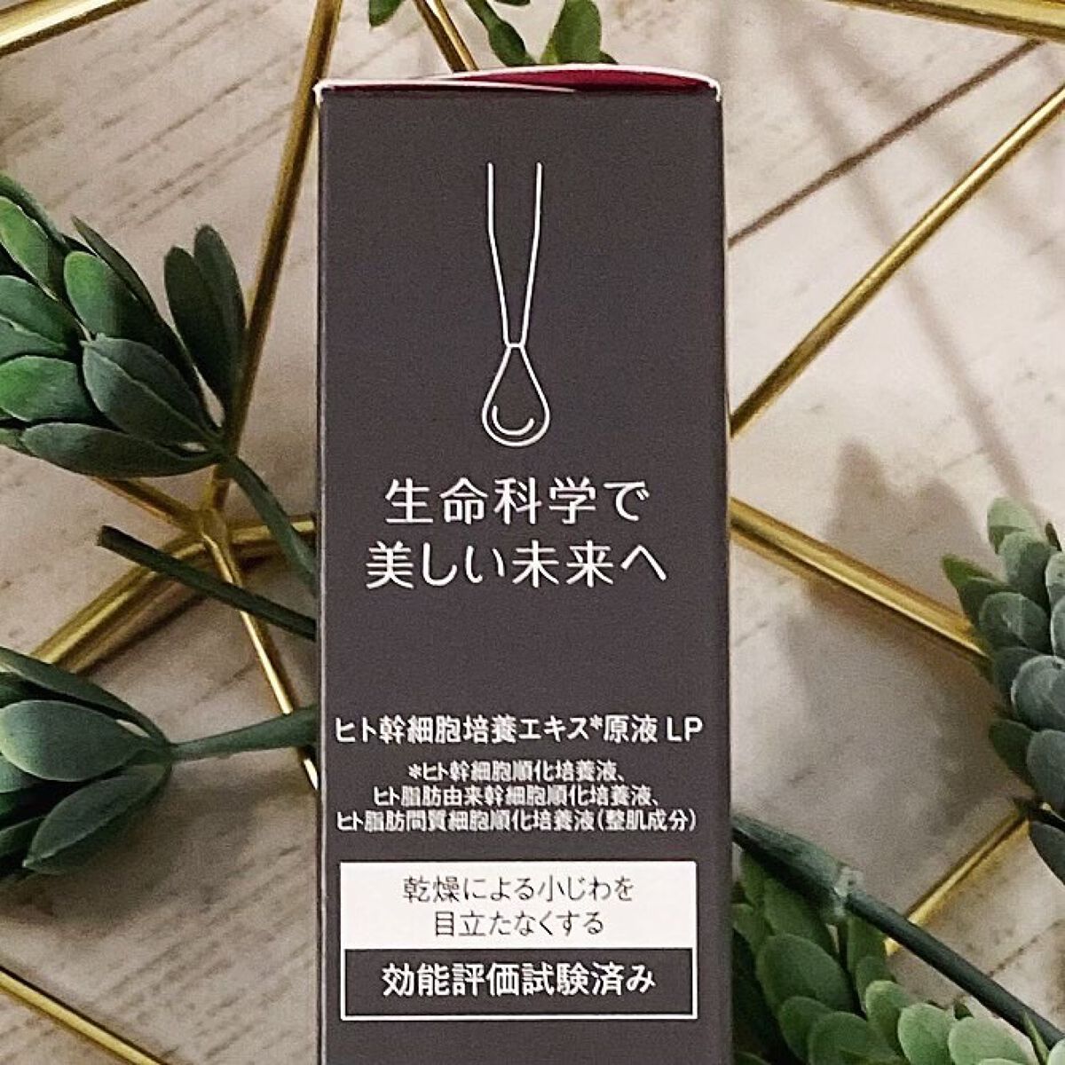 ヒト幹細胞培養エキス原液 LP/fracora/美容液を使ったクチコミ(5枚目)