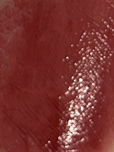 ネンマクフェイク ルージュ/Visée/口紅を使ったクチコミ(4枚目)