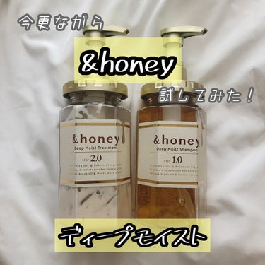 ディープモイスト シャンプー1.0／ヘアトリートメント2.0/&honey/シャンプー・コンディショナーを使ったクチコミ（1枚目）