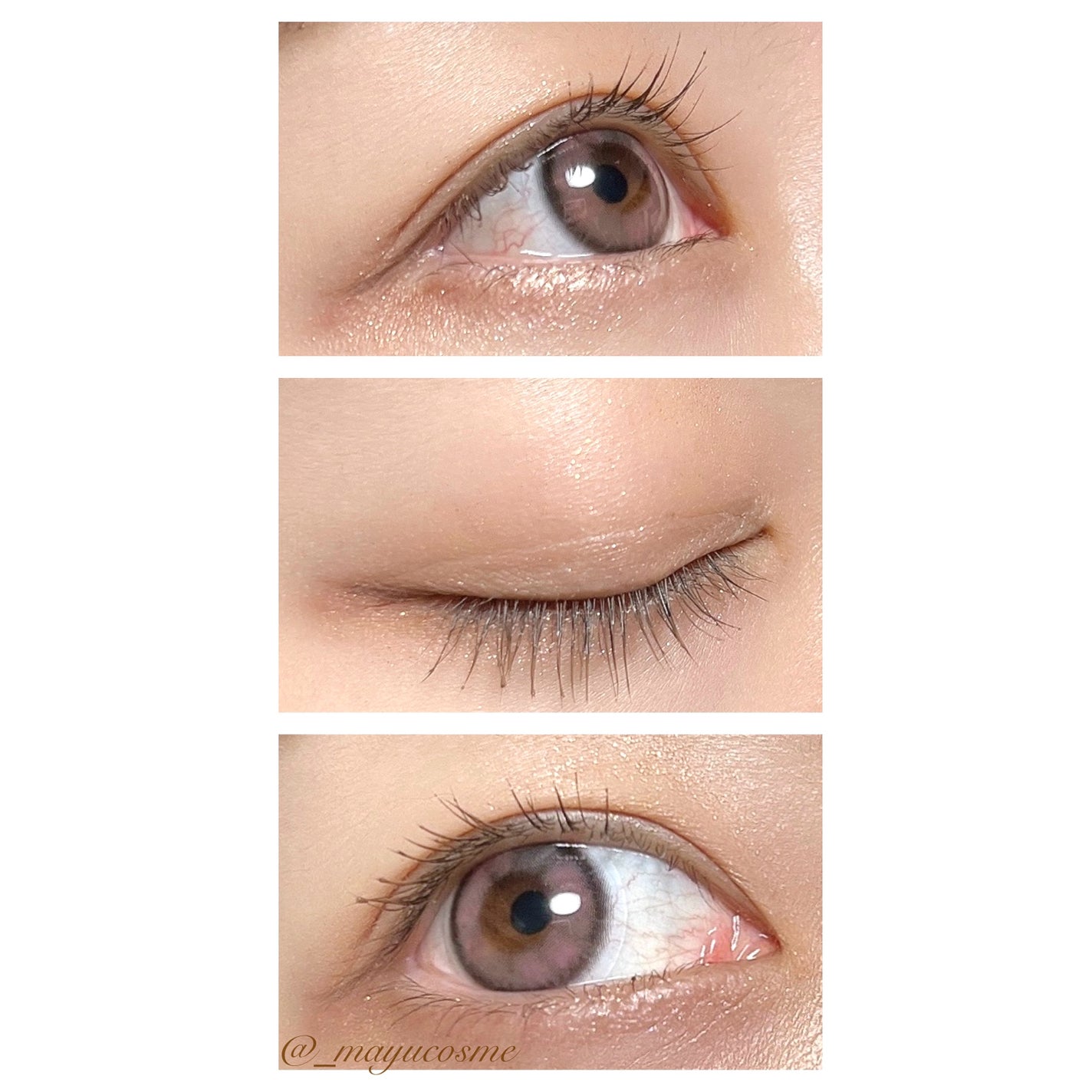 ブロウアンドラッシュブースターセラム/ENTROPY/マスカラを使ったクチコミ(3枚目)