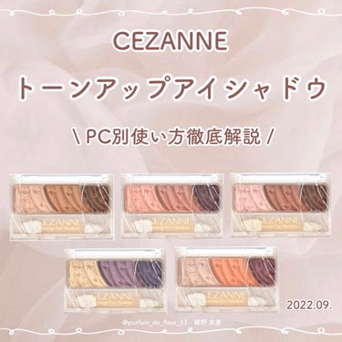 CEZANNE トーンアップアイシャドウのクチコミ「𓊆 CEZANNE 𓊇


トーンアップアイシャドウ


\ PC別使い方徹底解説 /　　pa.....」（1枚目）