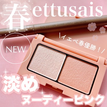 アイエディション(カラーパレット)/ettusais/アイシャドウパレットを使ったクチコミ（1枚目）