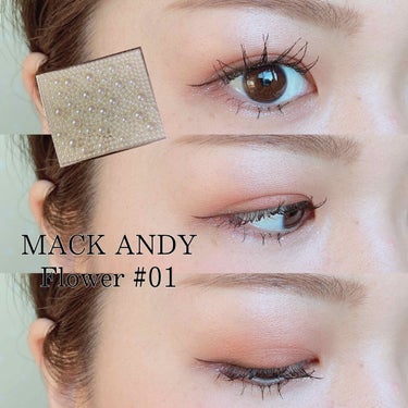 Rainforest Eyeshadow/MACK ANDY/アイシャドウパレットを使ったクチコミ（1枚目）