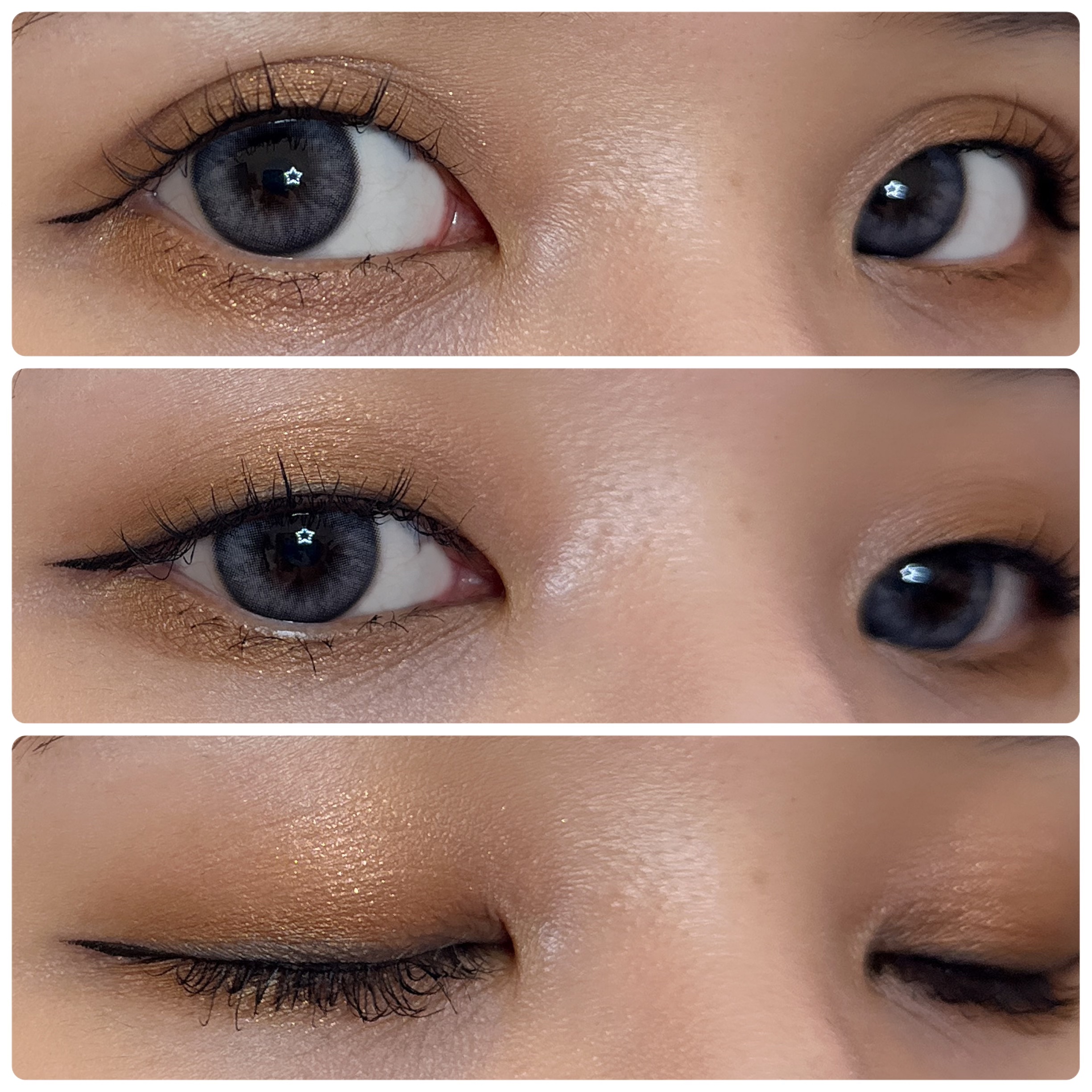 フェイスカラーパレット 511 パラレルワールド/チャコット・コスメティクス/アイシャドウパレットを使ったクチコミ（2枚目）