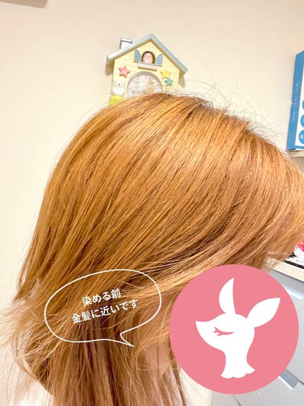 ホイップヘアカラー/ビューティラボ/ヘアカラーを使ったクチコミ(6枚目)
