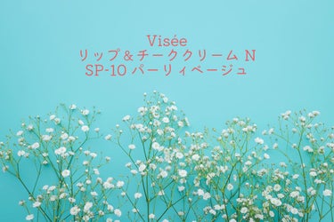 リシェ リップ＆チーククリーム Ｎ/Visée/ジェル・クリームチークを使ったクチコミ（1枚目）