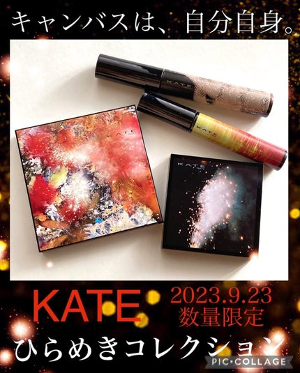 キャンバスペイントパレット/KATE/マルチパレットを使ったクチコミ(1枚目)