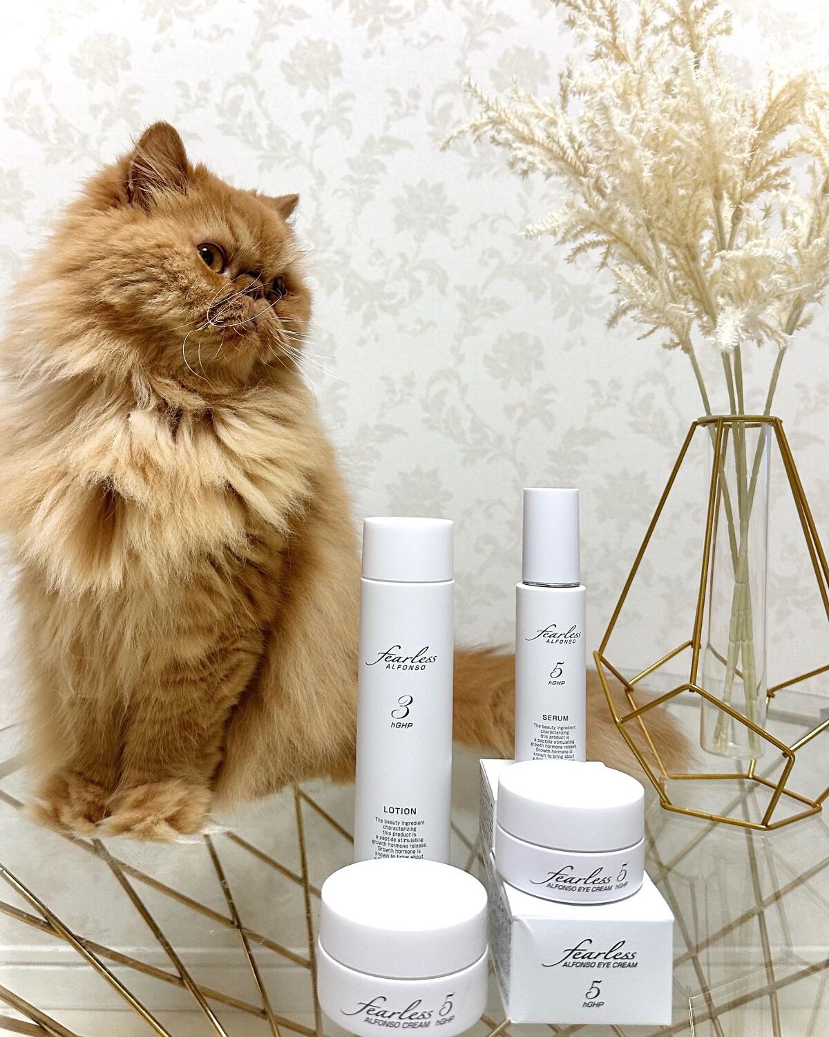 アルフォンソ クリーム/fearless/フェイスクリームを使ったクチコミ（1枚目）