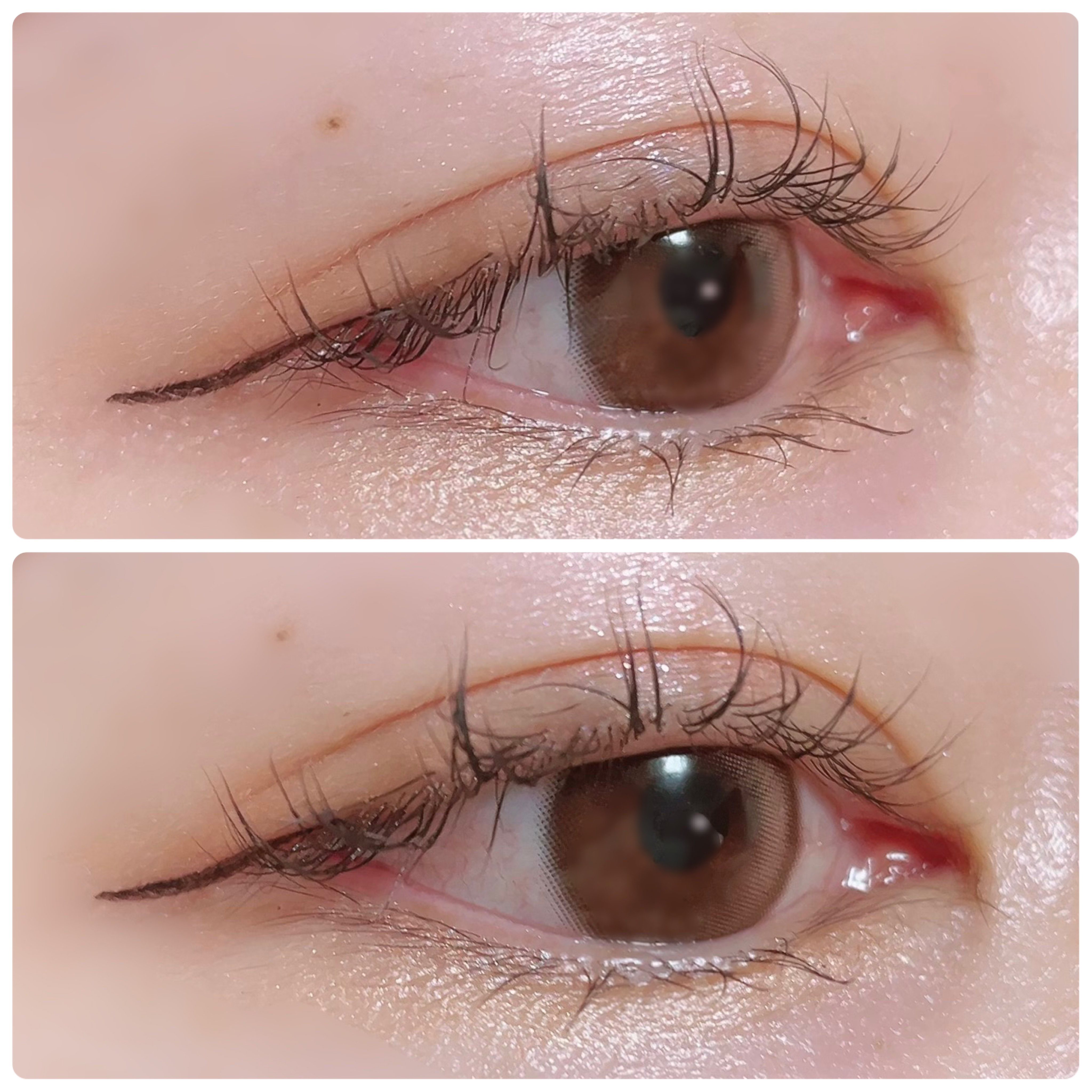 ミスナイン ザパーフェクトマスカラ ファイバー/ARTISTIC＆CO./マスカラを使ったクチコミ（3枚目）