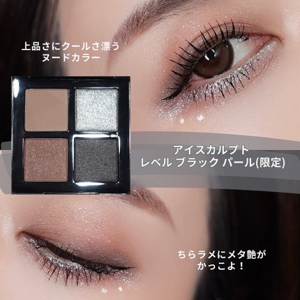 アイスカルプト レベル ブラック パール/shu uemura/アイシャドウパレットの画像