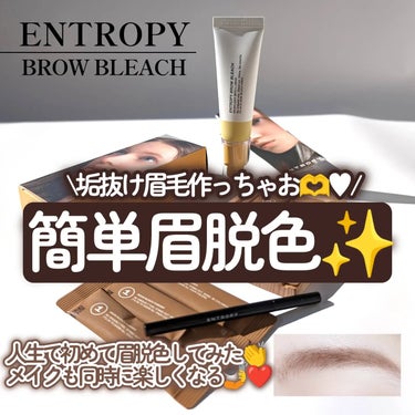 BROW BLEACH/ENTROPY/ブリーチ剤を使ったクチコミ（1枚目）