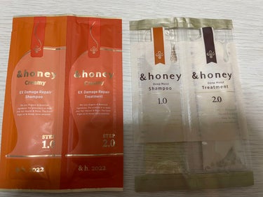 ディープモイスト シャンプー1.0／ヘアトリートメント2.0/&honey/シャンプー・コンディショナーを使ったクチコミ（1枚目）